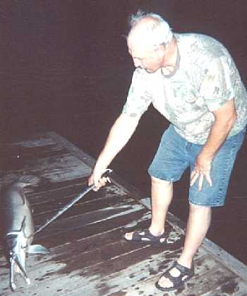 Carl Gottselig caught this Gar 5-6-02